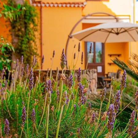 Hotel El Tejar &